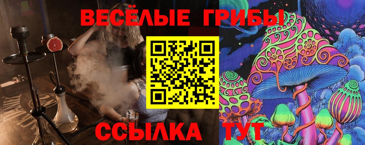 даркнет сайт  Вход с VPN  Арсеньев  Галлюциногенные грибы Psilocybine cubensis 