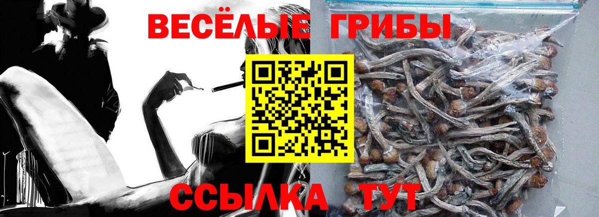 Галлюциногенные грибы MAGIC MUSHROOMS Арсеньев